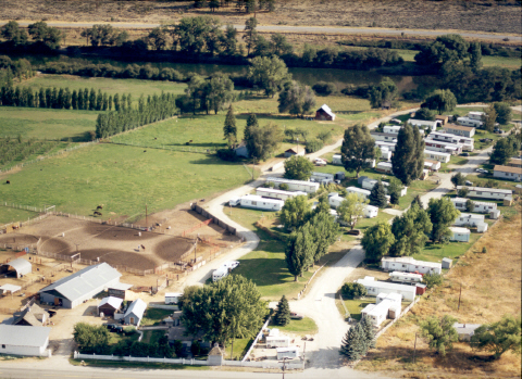 Since our company opened its doors in 1971, we’ve treated every 